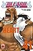 Bleach, Vol. 41: Heart