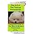 The Complete Guidebook to Teacup Pomeranian's