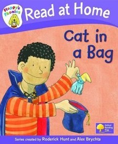 Cat In A Bag (Hardcover)