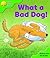 What A Bad Dog! (Biff, Chip and Kipper)