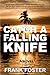 Catch a Falling Knife