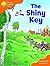 The Shiny Key (Magic Key)