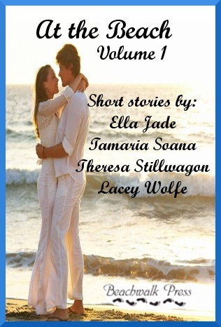 At the Beach, Volume 1 (ebook)