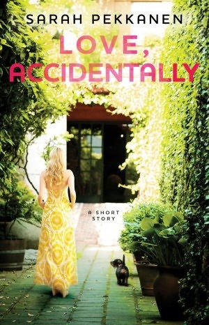 Love, Accidentally (Kindle Edition)