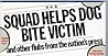 Squad Helps Dog Bite Victim, and Other Flubs from the Nation's Press Squad Helps Dog Bite Victim, and Other Flubs from the Nation's Press