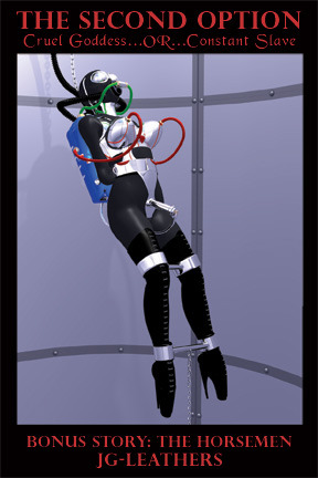 The Second Option (Paperback)