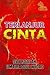 Terlanjur Cinta