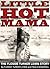 LITTLE HOT MAMA - The Flossie Turner Lewis Story