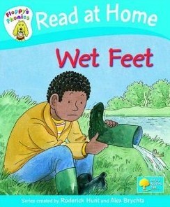 Wet Feet (Hardcover)
