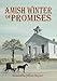 Amish Winter of Promises (A...