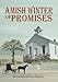 Amish Winter of Promises by Samantha Jillian Bayarr