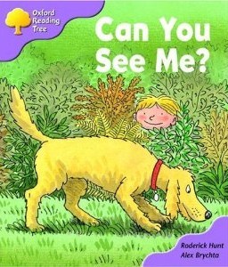 Can You See Me? (Paperback)