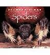 Spiders