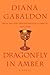 Dragonfly in Amber (Outland...