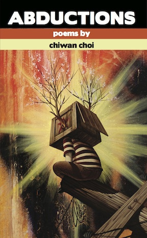 Abductions (Paperback)