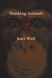 Thinking Animals: Why Animal Studies Now? (Paperback)