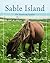 Sable Island by Wendy Kitts