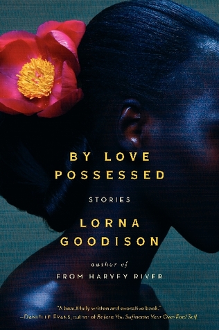 By Love Possessed (Paperback)