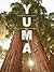 Yuma