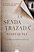 La senda trazada by Pedro de Paz Chiquero