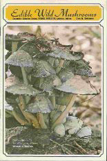 Edible Wild Mushrooms