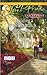 Building a Perfect Match (Chatam House, #6)