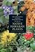 Amy Greenwell Garden Ethnobotanical Guide to Native Hawaiian ... by Noa Kekuewa Lincoln