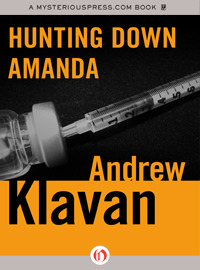 Hunting Down Amanda (Paperback)