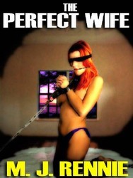 The Perfect Wife