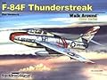 F-84F Thunderstreak - Walk Around Color Series No. 59