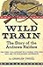 Wild Train: The Story of the Andrews Raiders