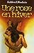 Une rose en hiver