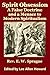 Spirit Obsession: A False D...