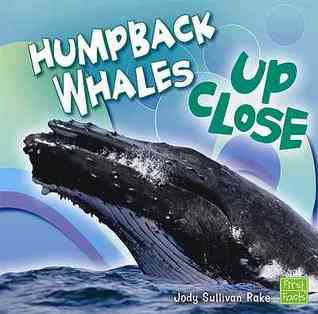 Humpback Whales Up Close (First Facts)