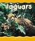 Jaguars (Pebble Books)