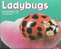 Ladybugs