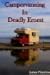 Campervanning in Deadly Earnest
