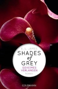 Geheimes Verlangen (Shades of Grey, #1)