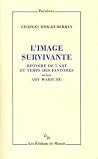 L'image survivant...