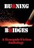 Burning Bridges by Allan Leverone