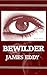 Bewilder (Diamonds #1)