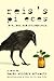 Reis's Pieces by Karen Winters Schwartz