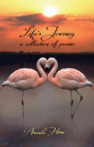 Life's Journey (Paperback)