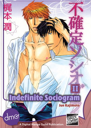 Indefinite Sociogram Vol. 2 (ebook)