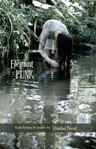 Elegant Punk (Paperback)
