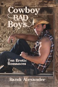 Cowboy Bad Boys