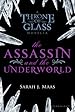 Image for The Assassin and the Underworld