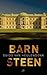 Barnsteen by Guido van Heulendonk