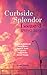 Curbside Splendor Semi-Annual Journal by Richard   Thomas