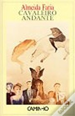 Cavaleiro Andante